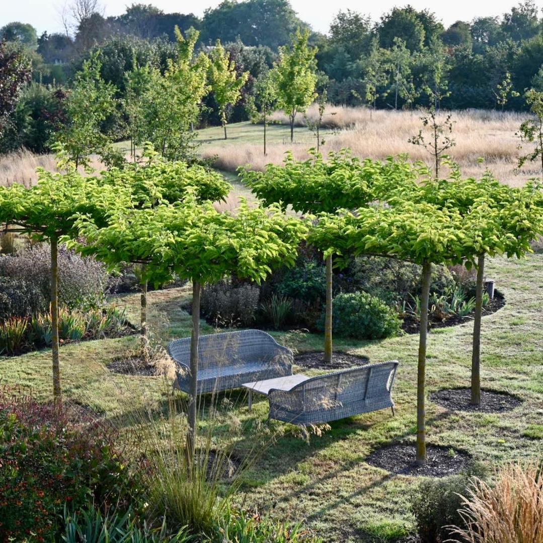 Bed and Breakfast Orchard Dene Chidham Экстерьер фото